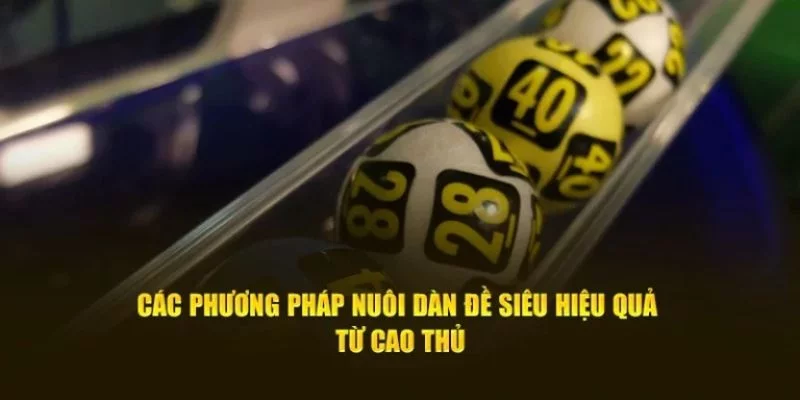 Có nhiều phương pháp soi dàn đề 12 số 33WIN Có nhiều phương pháp soi dàn đề 12 số 33WIN