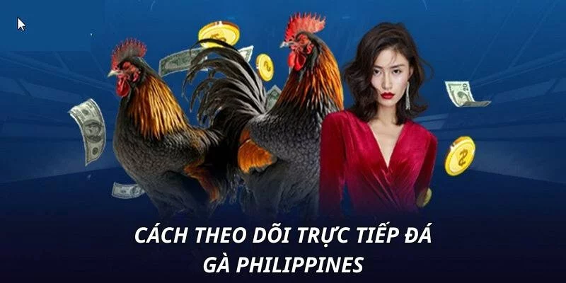 Quy trình tham gia chơi đá gà Philippines tại 33WIN Quy trình tham gia chơi đá gà Philippines tại 33WIN