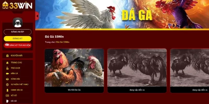 Sảnh đá gà tái hiện một cách chân thực những trận đấu kịch tính Sảnh đá gà tái hiện một cách chân thực những trận đấu kịch tính