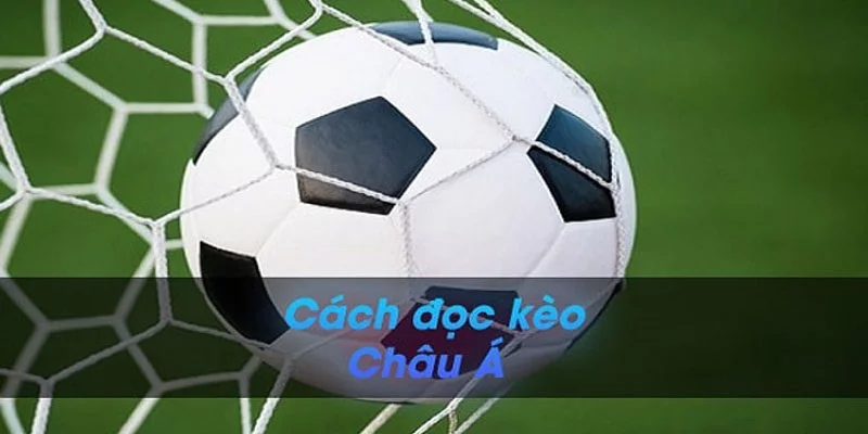 Cách đánh Handicap đơn giản và chi tiết nhất hiện nay Cách đánh Handicap đơn giản và chi tiết nhất hiện nay