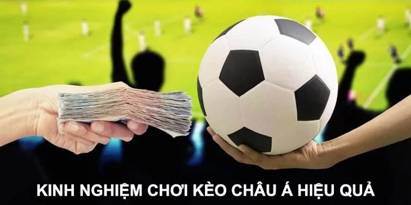 Bí quyết dự đoán Handicap dễ chiến thắng nhất từ cao thủ Bí quyết dự đoán Handicap dễ chiến thắng nhất từ cao thủ