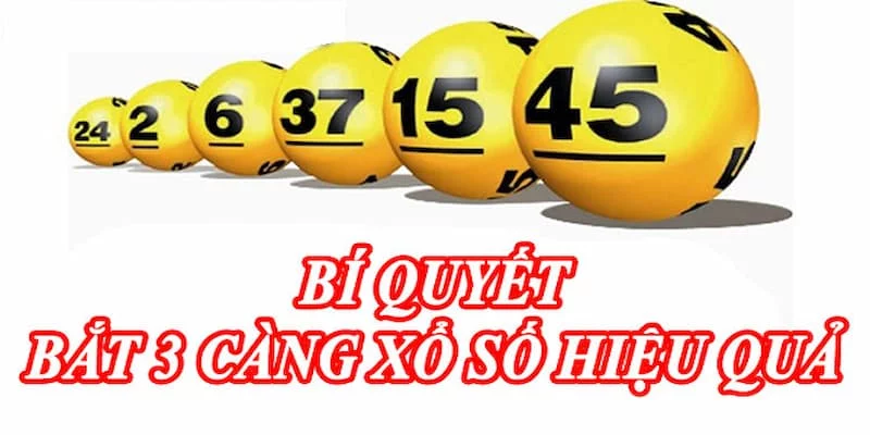 Các hình thức cược 3 càng hiệu quả giúp người chơi có được chiến thắng dễ dàng