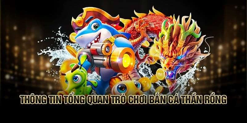 Hiện có rất nhiều điểm nổi trội thu hút hội viên giải trí Hiện có rất nhiều điểm nổi trội thu hút hội viên giải trí